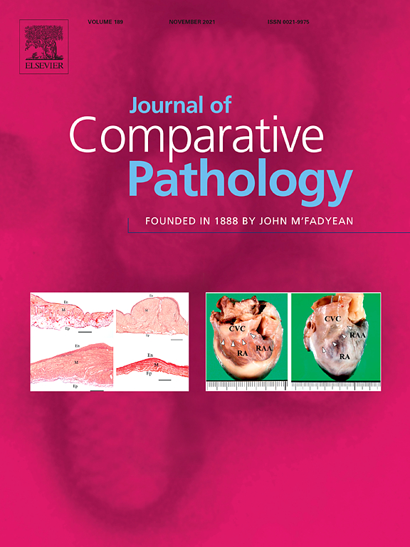 Journal of Comparative Pathology